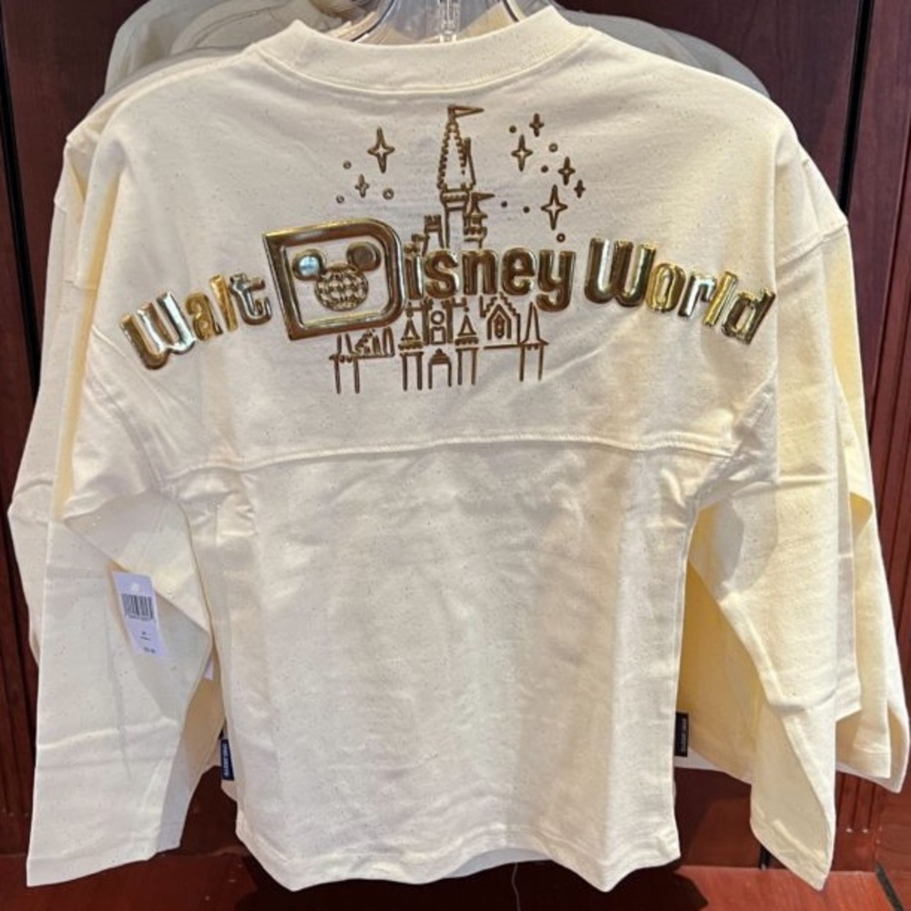 Disney Spirit Jersey